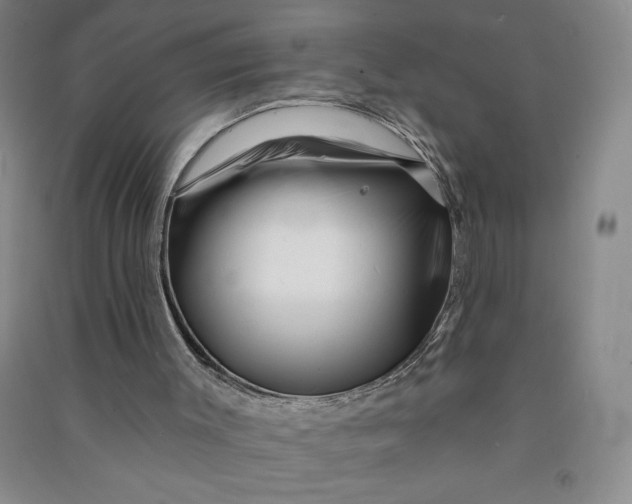 X0000090870003200708171635