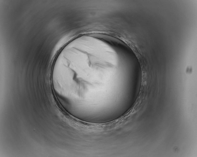 X0000090870004200708171635