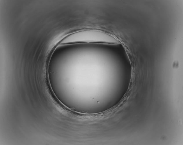 X0000090870005200708171635