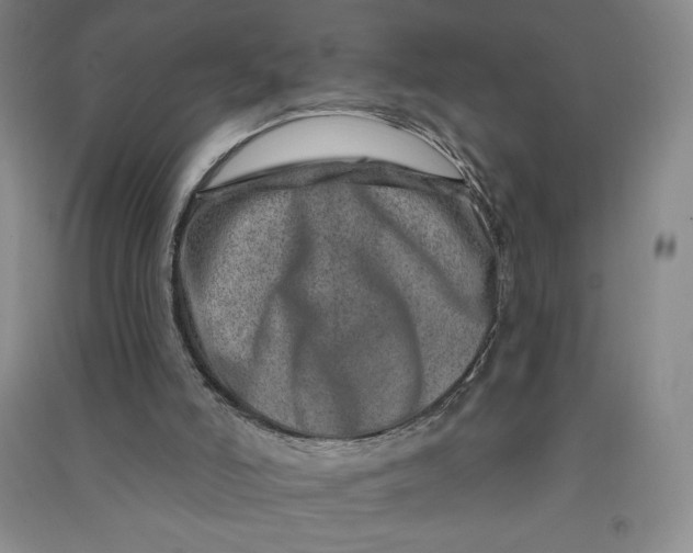 X0000090870006200708171635