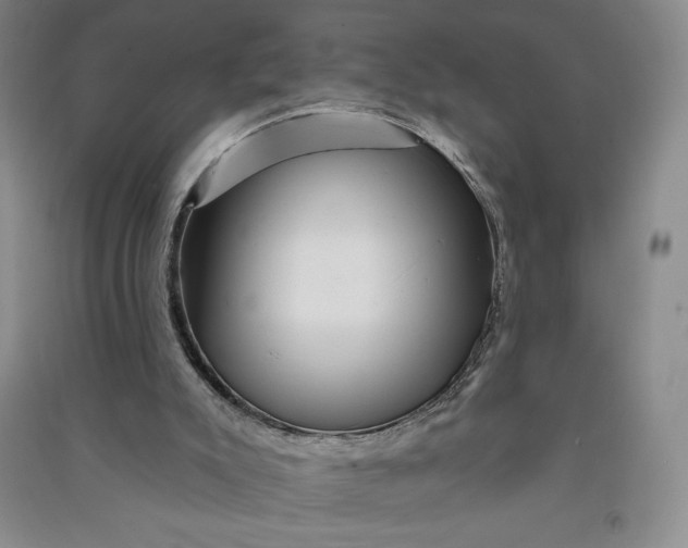 X0000090870007200708171635