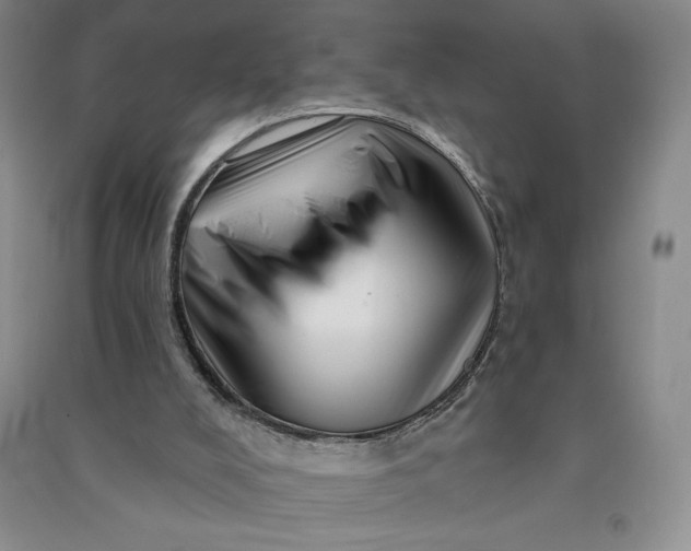 X0000090870008200708171635