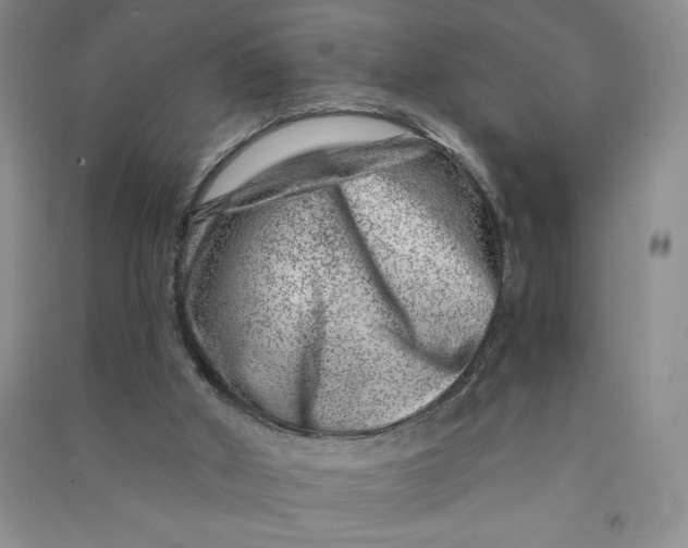 X0000090870010200708171635