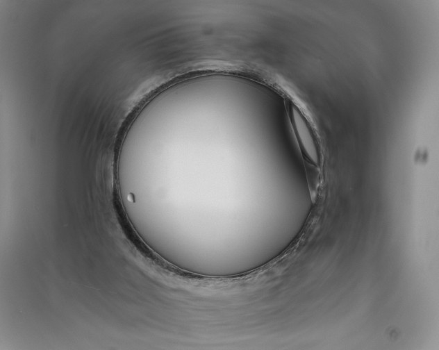 X0000090870011200708171635