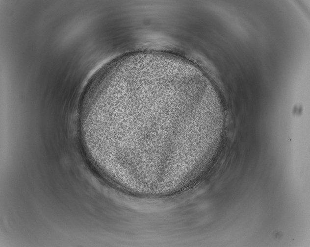 X0000090870012200708171635