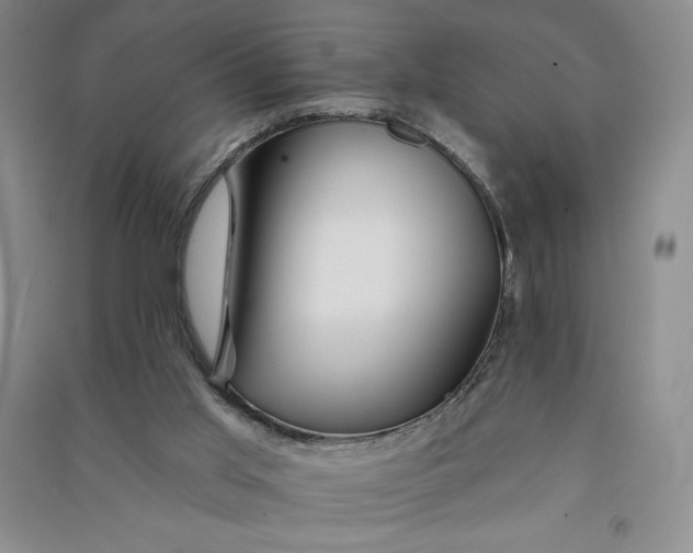 X0000090870013200708171634