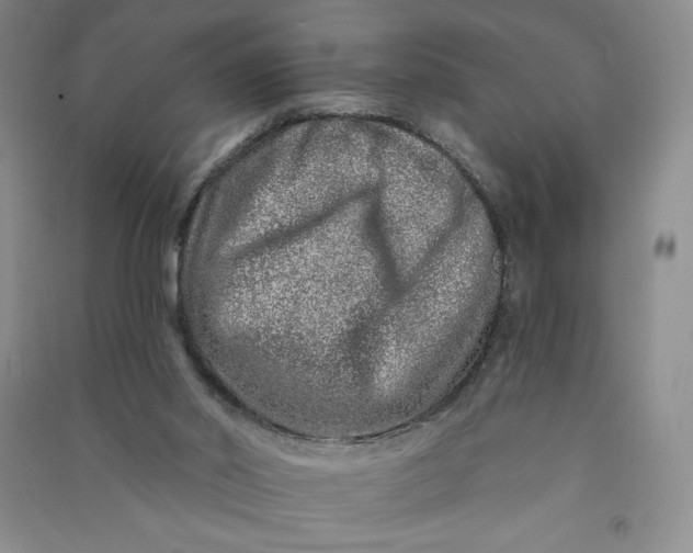 X0000090870014200708171634