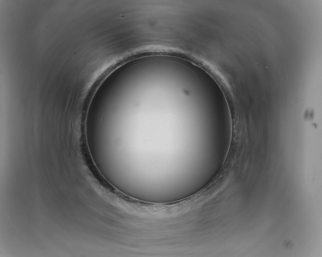 X0000090870015200708171634