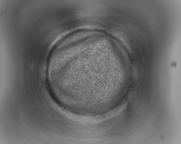 X0000090870016200708171634