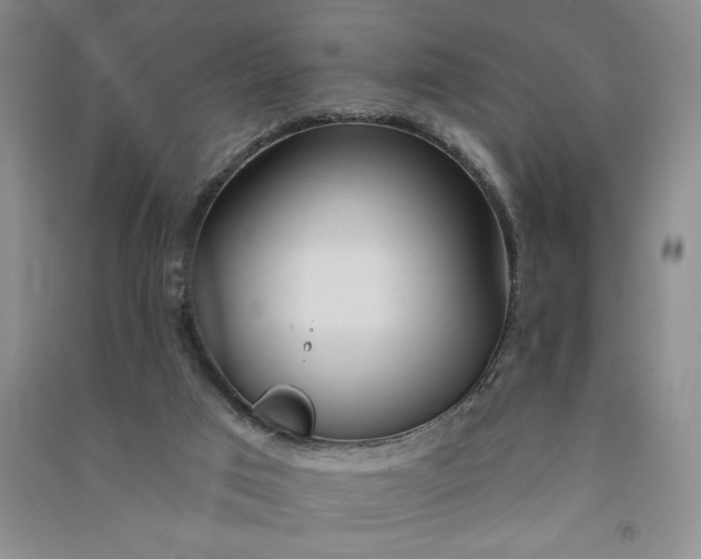 X0000090870017200708171634