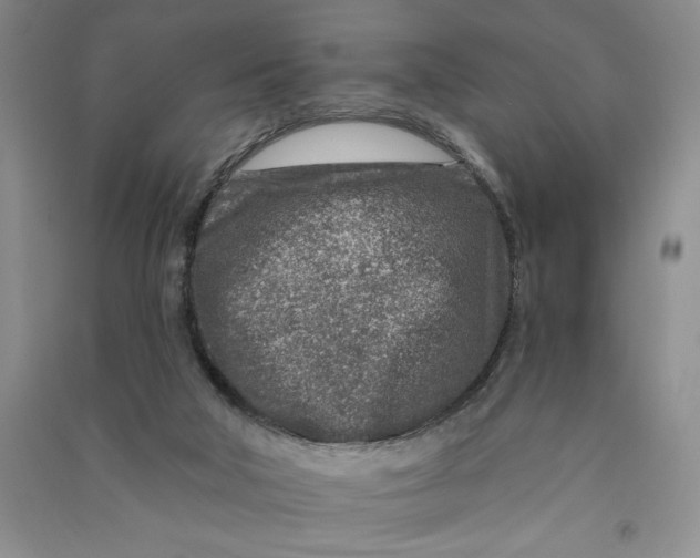 X0000090870018200708171634