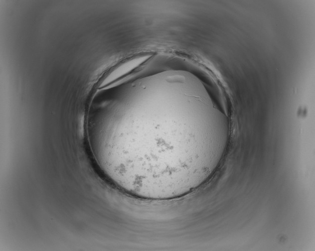 X0000090870019200708171634