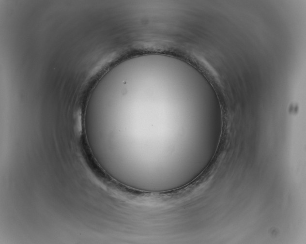 X0000090870020200708171634