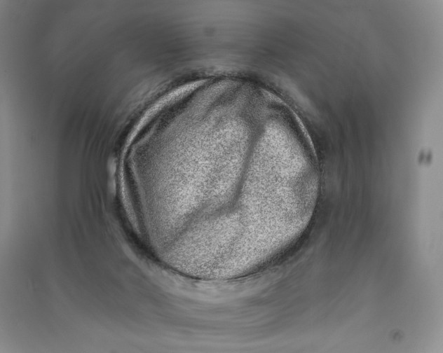 X0000090870022200708171634