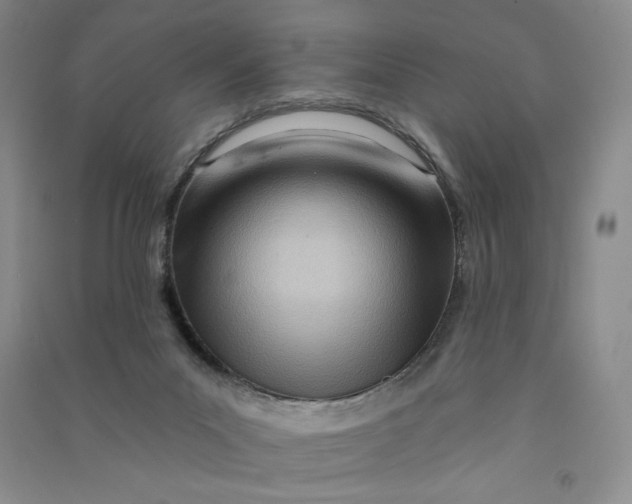 X0000090870023200708171634