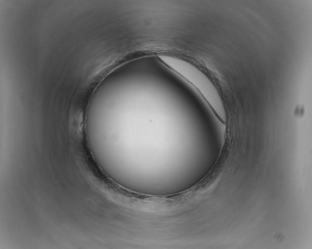 X0000090870024200708171634