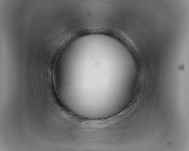 X0000090870025200708171634