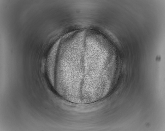 X0000090870026200708171634