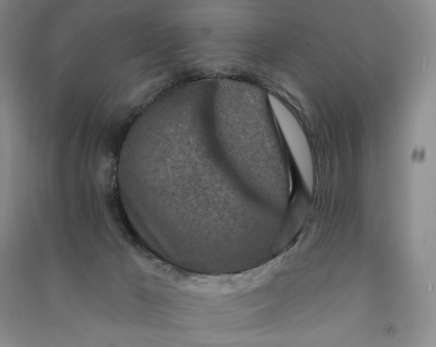 X0000090870029200708171634