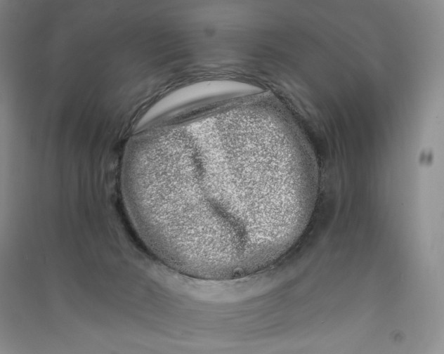 X0000090870030200708171634