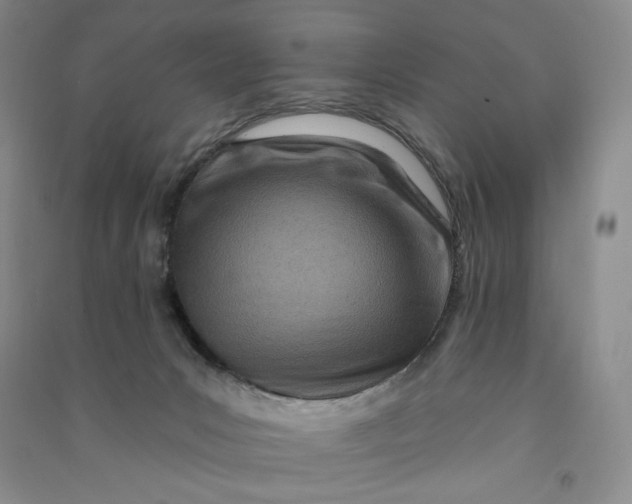 X0000090870031200708171634