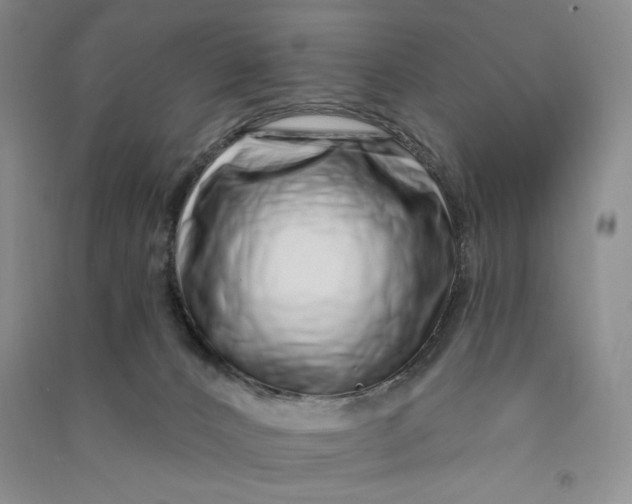 X0000090870032200708171634