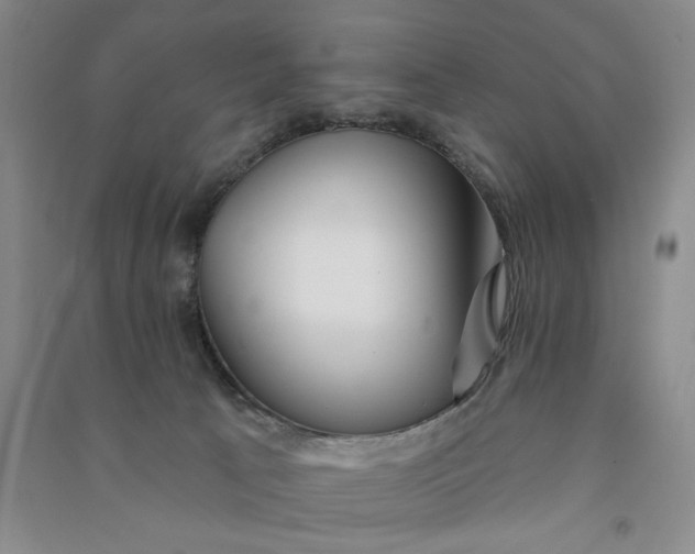 X0000090870033200708171634