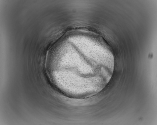 X0000090870034200708171634