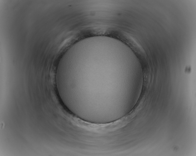 X0000090870035200708171634