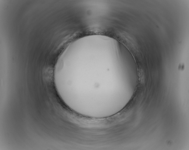 X0000090870036200708171634