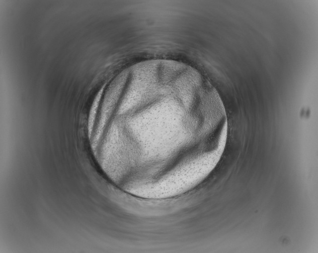 X0000090870038200708171634