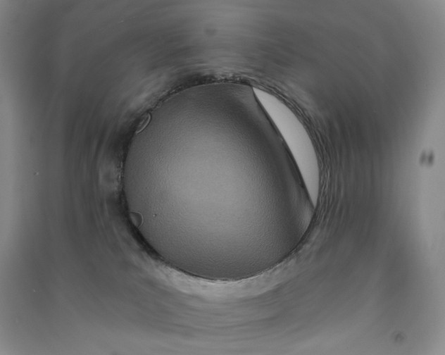 X0000090870039200708171634