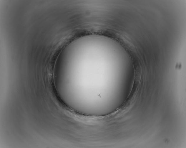 X0000090870040200708171634