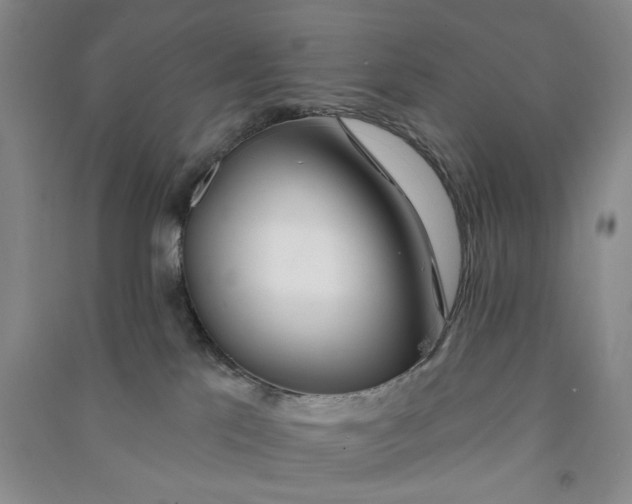 X0000090870041200708171634