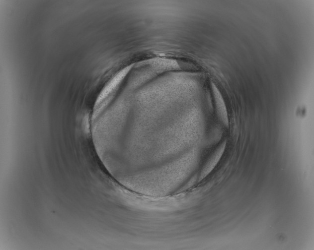 X0000090870042200708171634