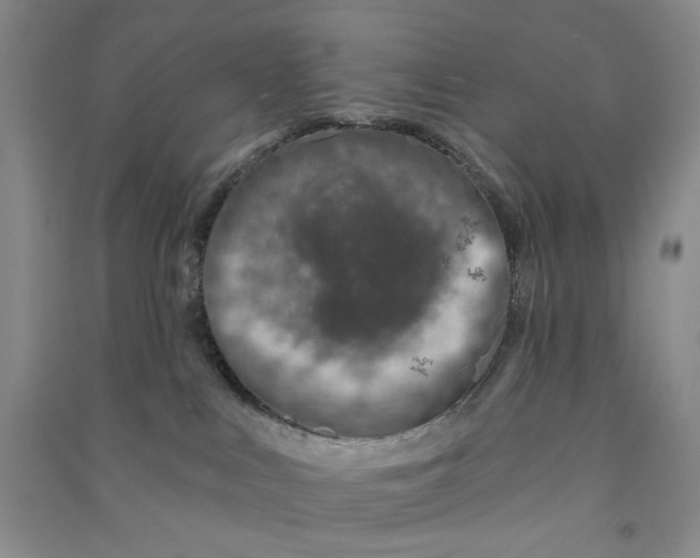 X0000090870043200708171634