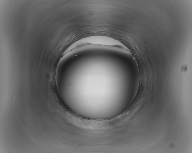 X0000090870044200708171634