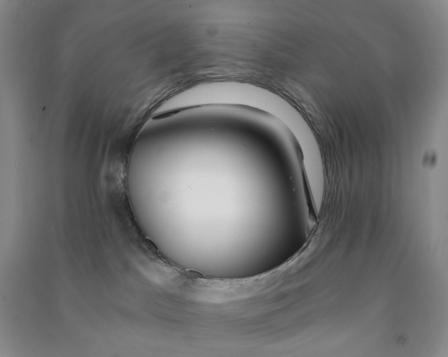 X0000090870045200708171634