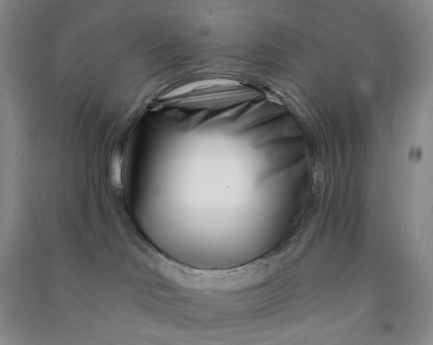 X0000090870046200708171634