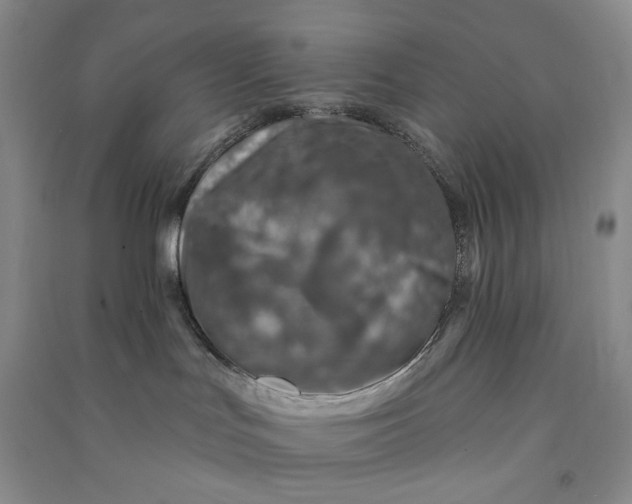 X0000090870047200708171634