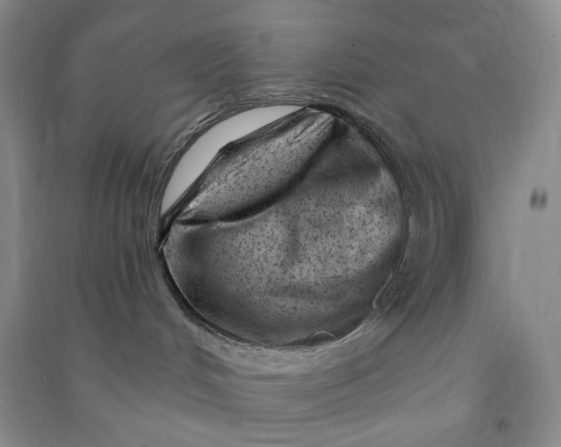 X0000090870048200708171634