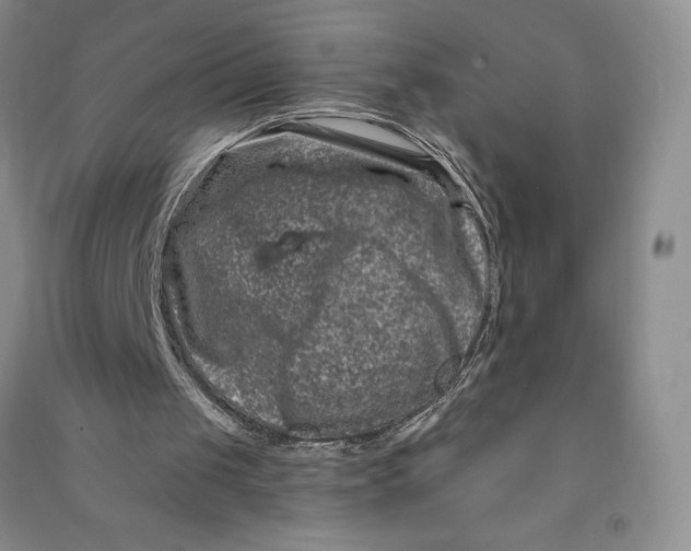 X0000090870049200708171633