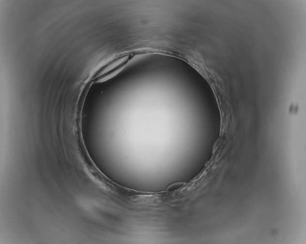 X0000090870050200708171633