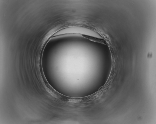 X0000090870051200708171633