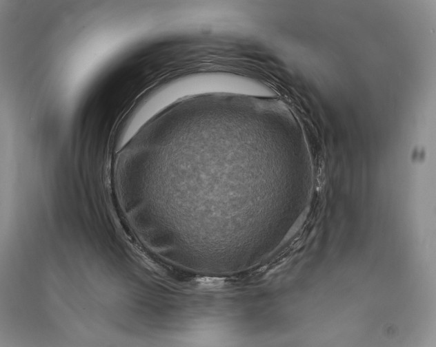 X0000090870052200708171633