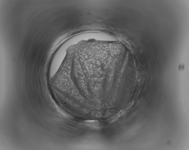 X0000090870053200708171634