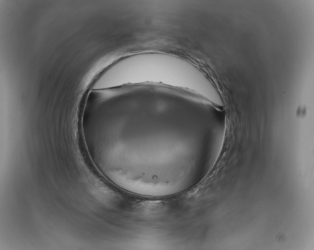 X0000090870054200708171634