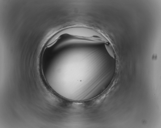 X0000090870055200708171634