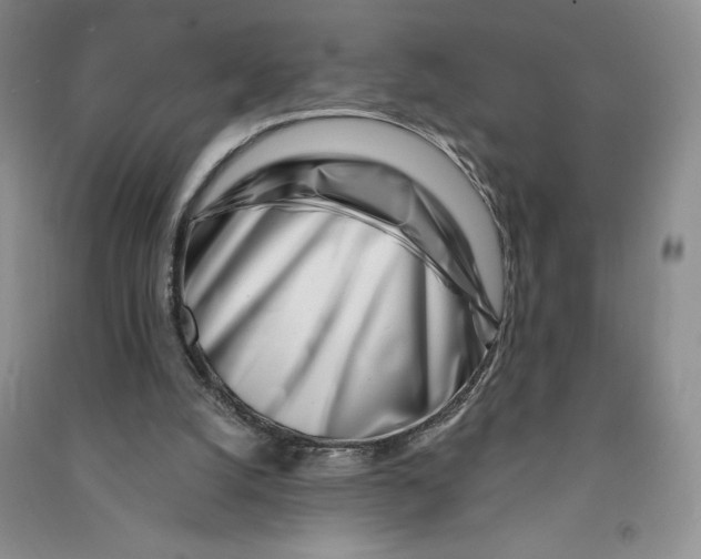 X0000090870056200708171634