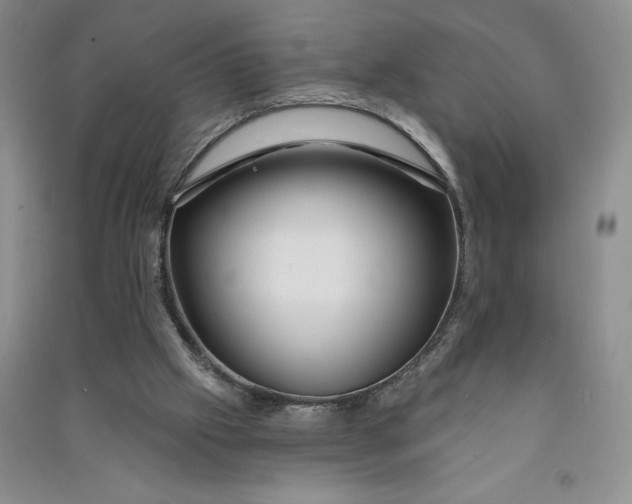 X0000090870057200708171634